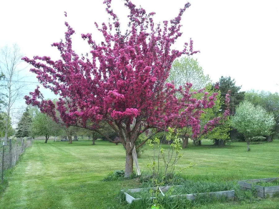 Vacant Springborn RD, Casco, MI 48064 - Image #3