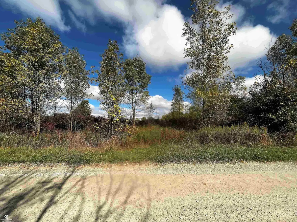 12274 Griffin RD, Riley Township, MI 48041 - Image #1