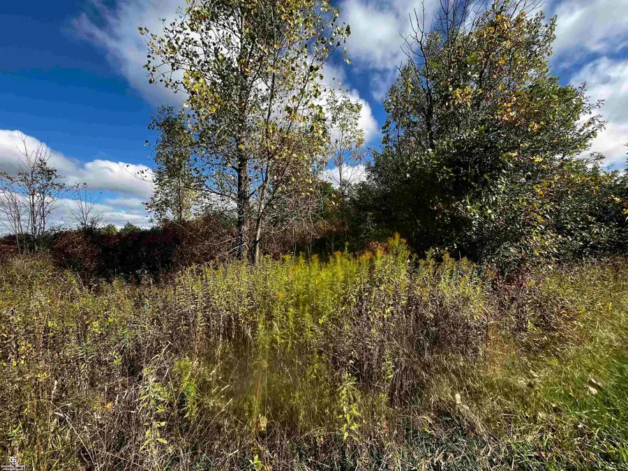 12274 Griffin RD, Riley Township, MI 48041 - Image #3