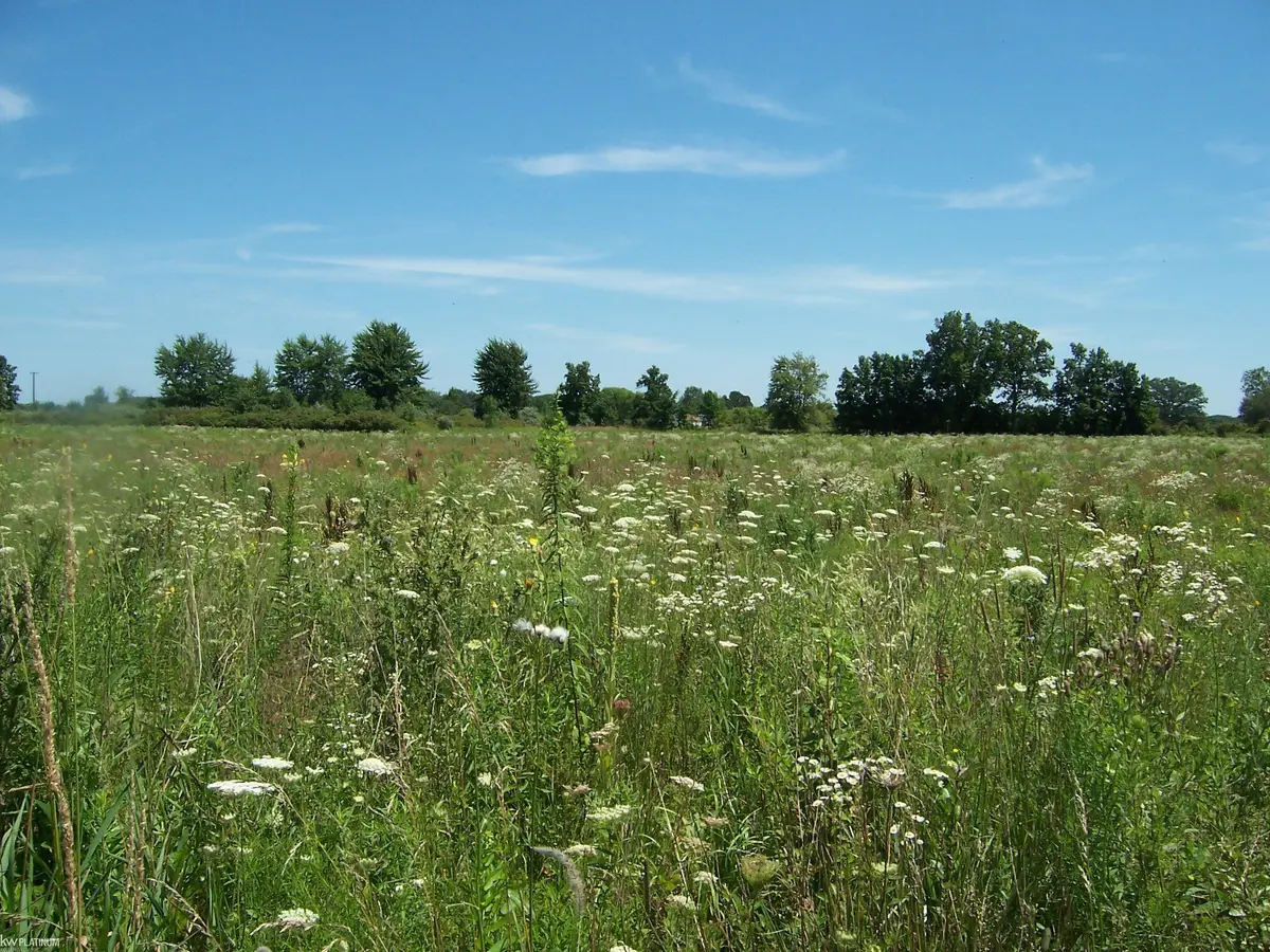 Lot C Calvin Rd RD, Memphis, MI 48041 - Image #1