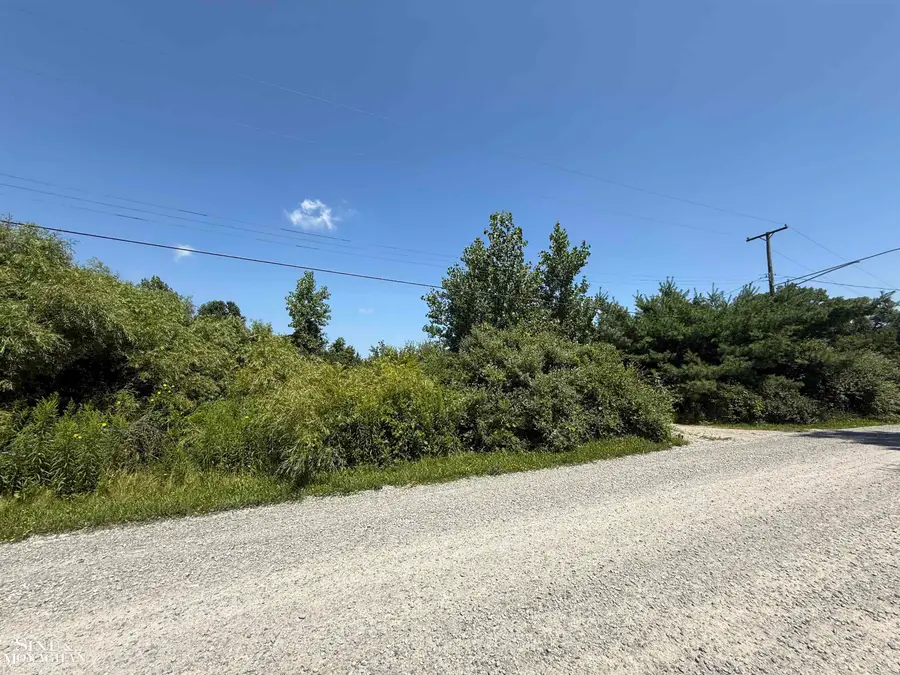 0 Wall RD, Port Huron Charter Township, MI 48060 - Image #2