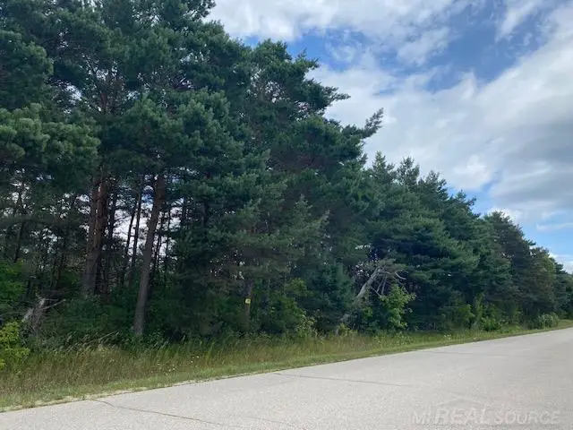 000 Elder.  LOT A RD, Mancelona, MI 49659 - Image #2