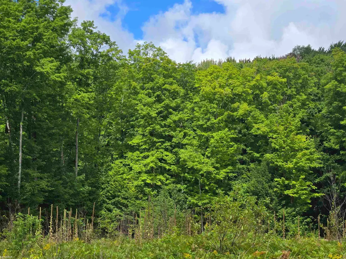 1216 Bundy RD, Mancelona, MI 49659 - Image #1