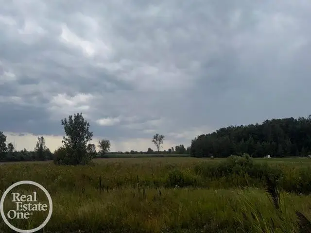 8637 Yale RD, Greenwood, MI 48006 - Image #2