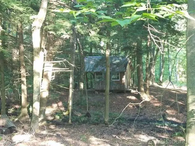 9455 E Buhler DR, Croton, MI 49329 - Image #3