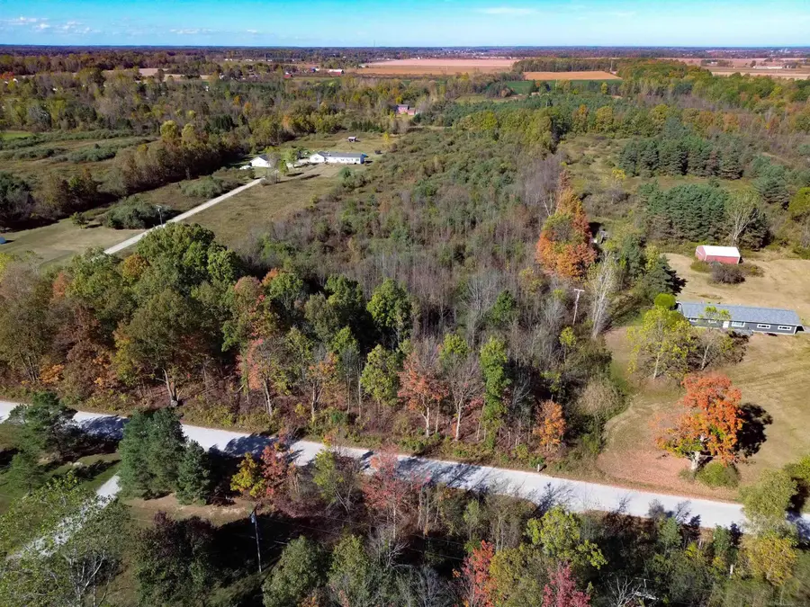 0 Mcintyre RDS, Clyde Township, MI 48049 - Image #2