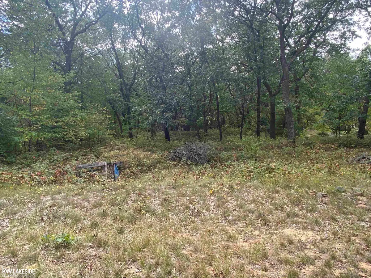 00 Port Austin RD, Caseville, MI 48725 - Image #1