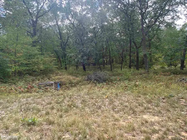 00 Port Austin RD, Caseville, MI 48725