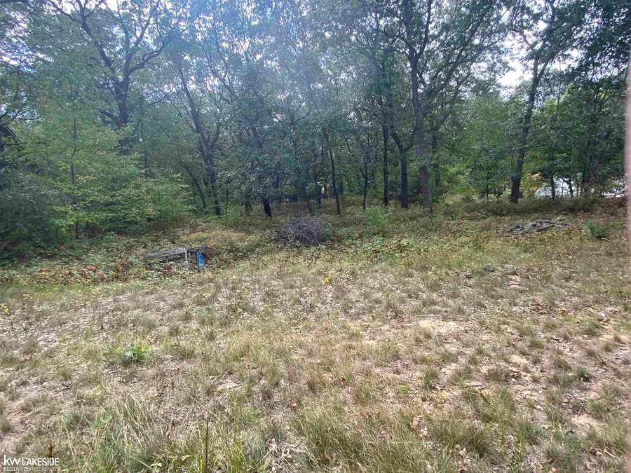 00 Port Austin RD, Caseville, MI 48725 - Image #2