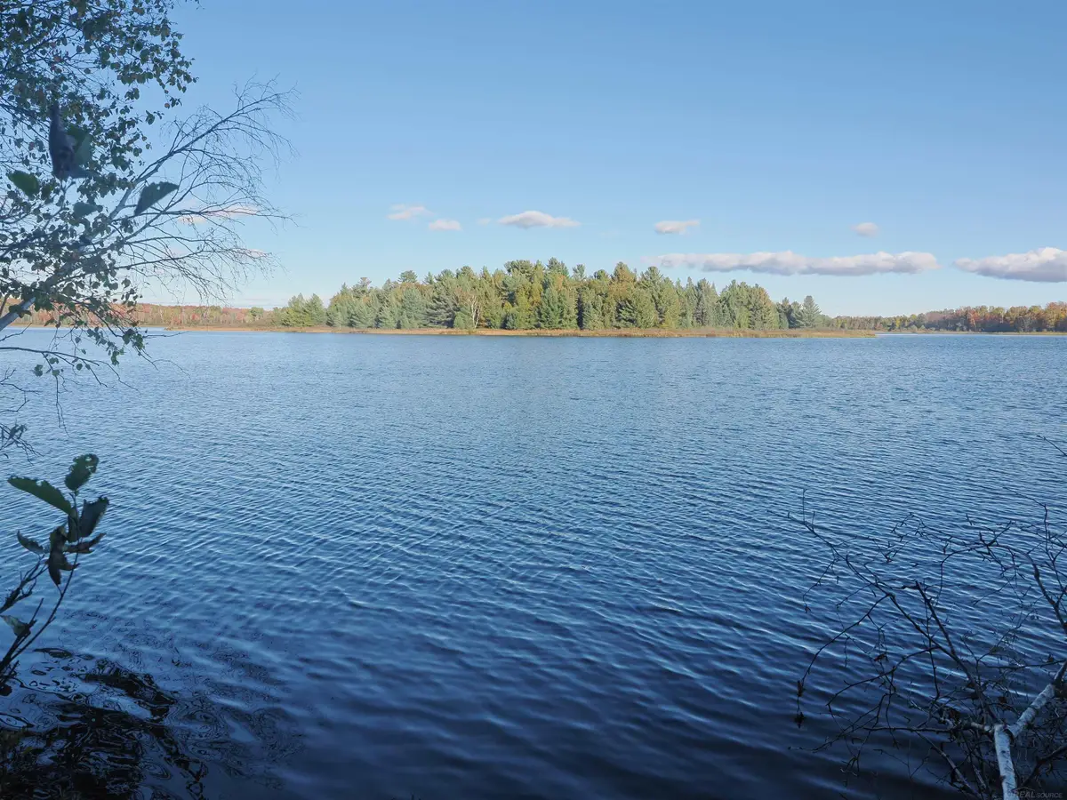 XXX W Birch Shores DR, Trout Lake, MI 49793 - #1