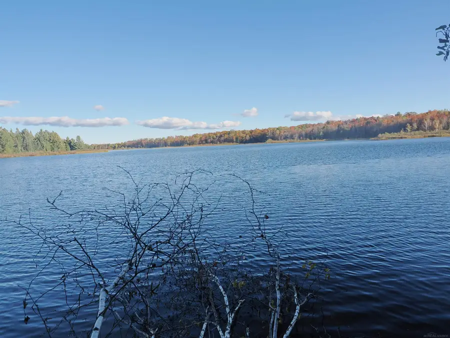 XXX W Birch Shores DR, Trout Lake, MI 49793 - #3