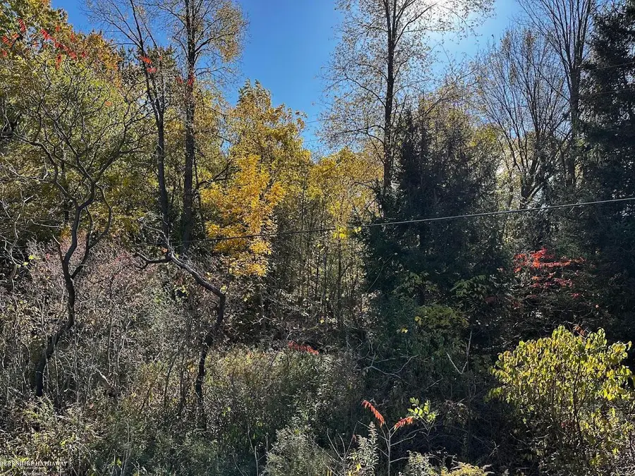 Parcel A2 Hunters Creek RD, Imlay, MI 48444 - Image #3