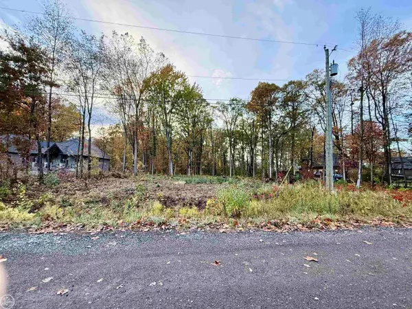 62747 Braun DR, Washington, MI 48094