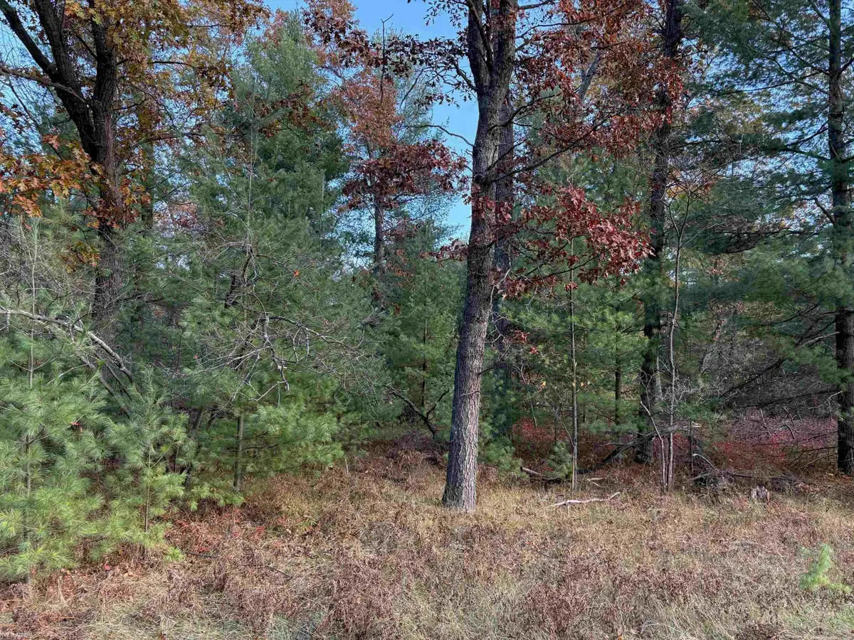 Lot 99 Wilderness DR, Alger, MI 48610 - #1