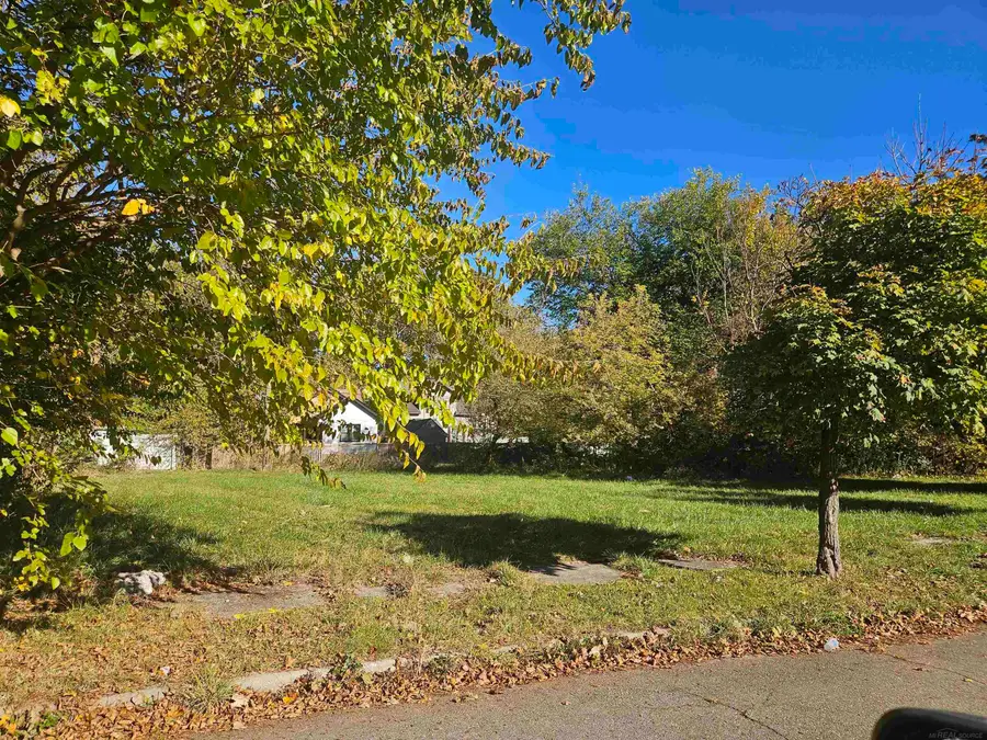 470 Navahoe AVE, Detroit, MI 48215 - Image #3