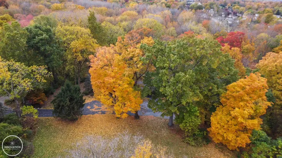 39401 Cypress ST, Clinton Charter Township, MI 48036 - Image #3