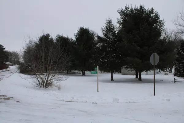 1046 Cortez DR, Weidman, MI 48893