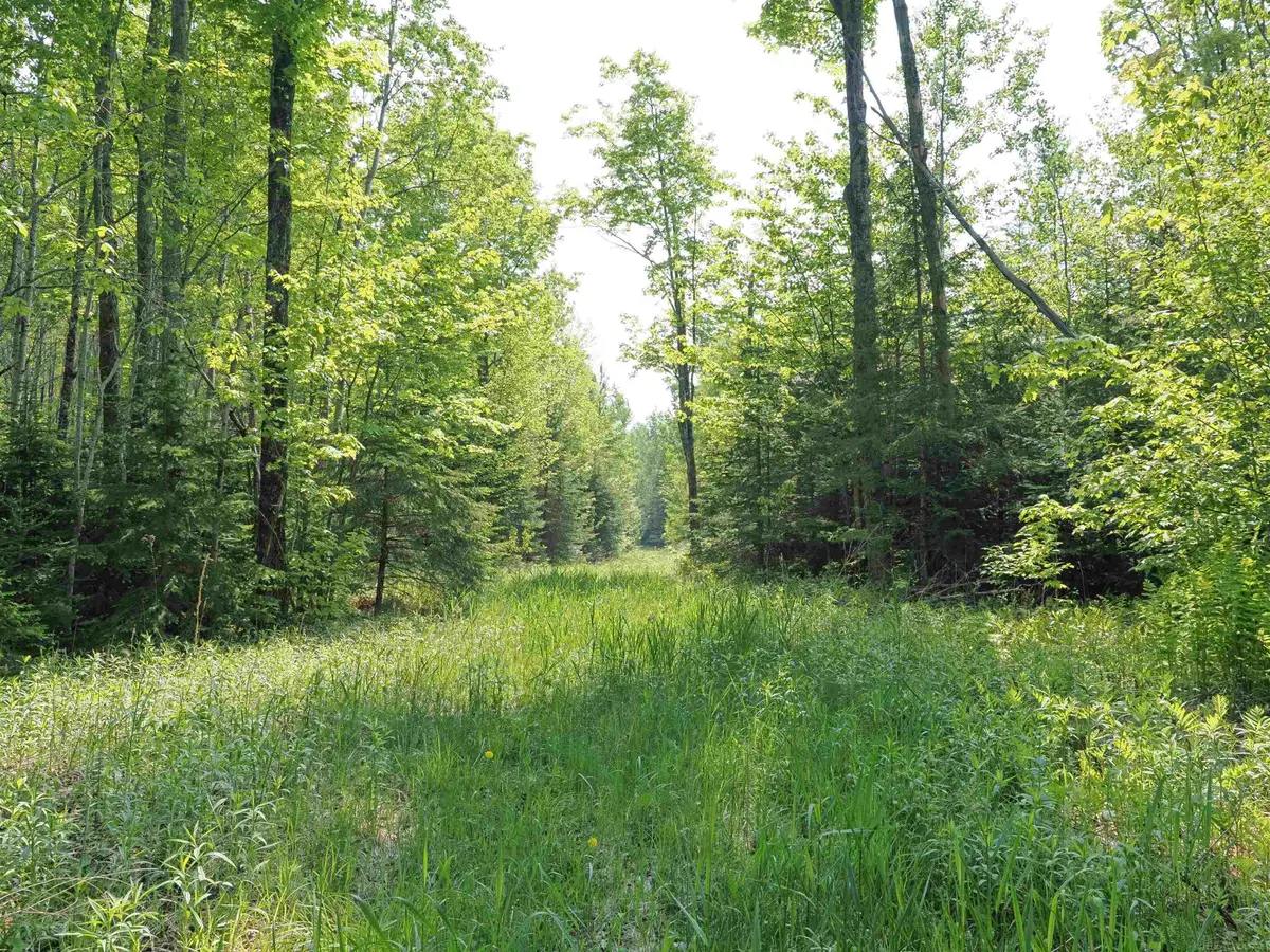 East US-2 HWY, Marenisco, MI 49947 - Image #1