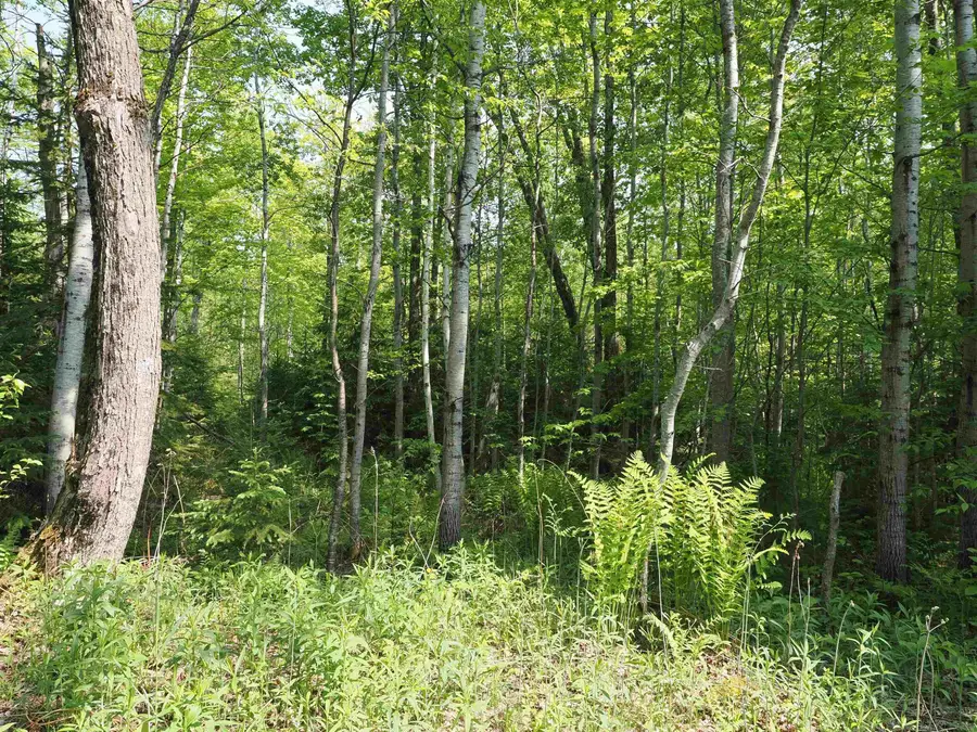 East US-2 HWY, Marenisco, MI 49947 - Image #2