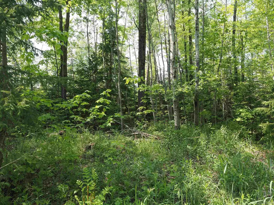 East US-2 HWY, Marenisco, MI 49947 - Image #3