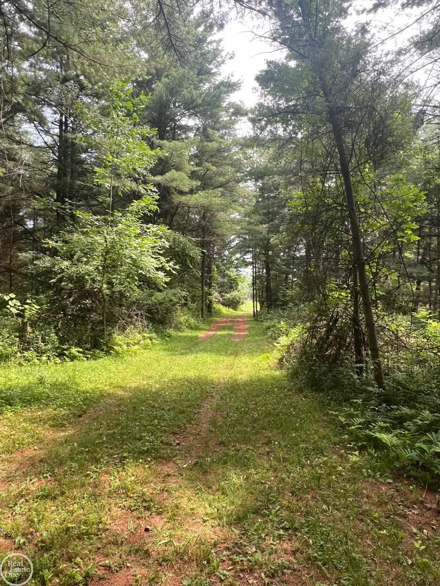 00000 N. Lakeshore, Palms, MI 48465 - Image #3