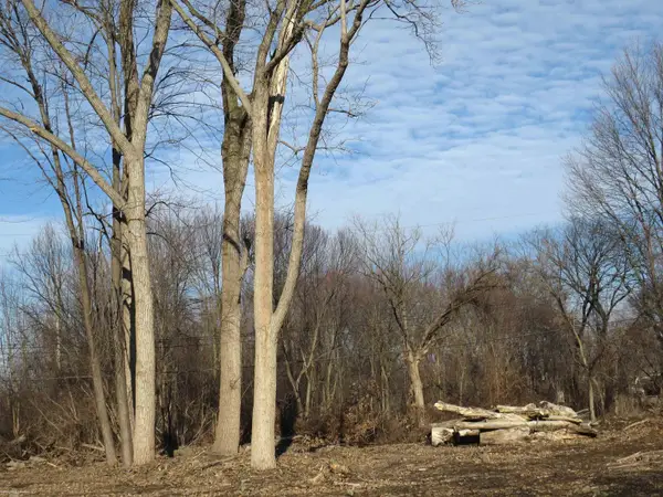 0 14 Mile RD, Fraser, MI 48026