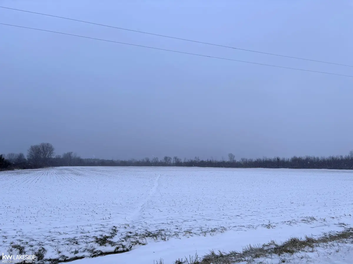 001 Babcock RD, Lexington, MI 48450 - #1