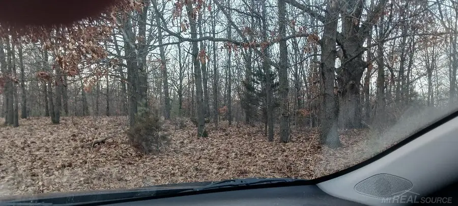 87573 County Road 668 NONE, Decatur, MI 49045 - #3