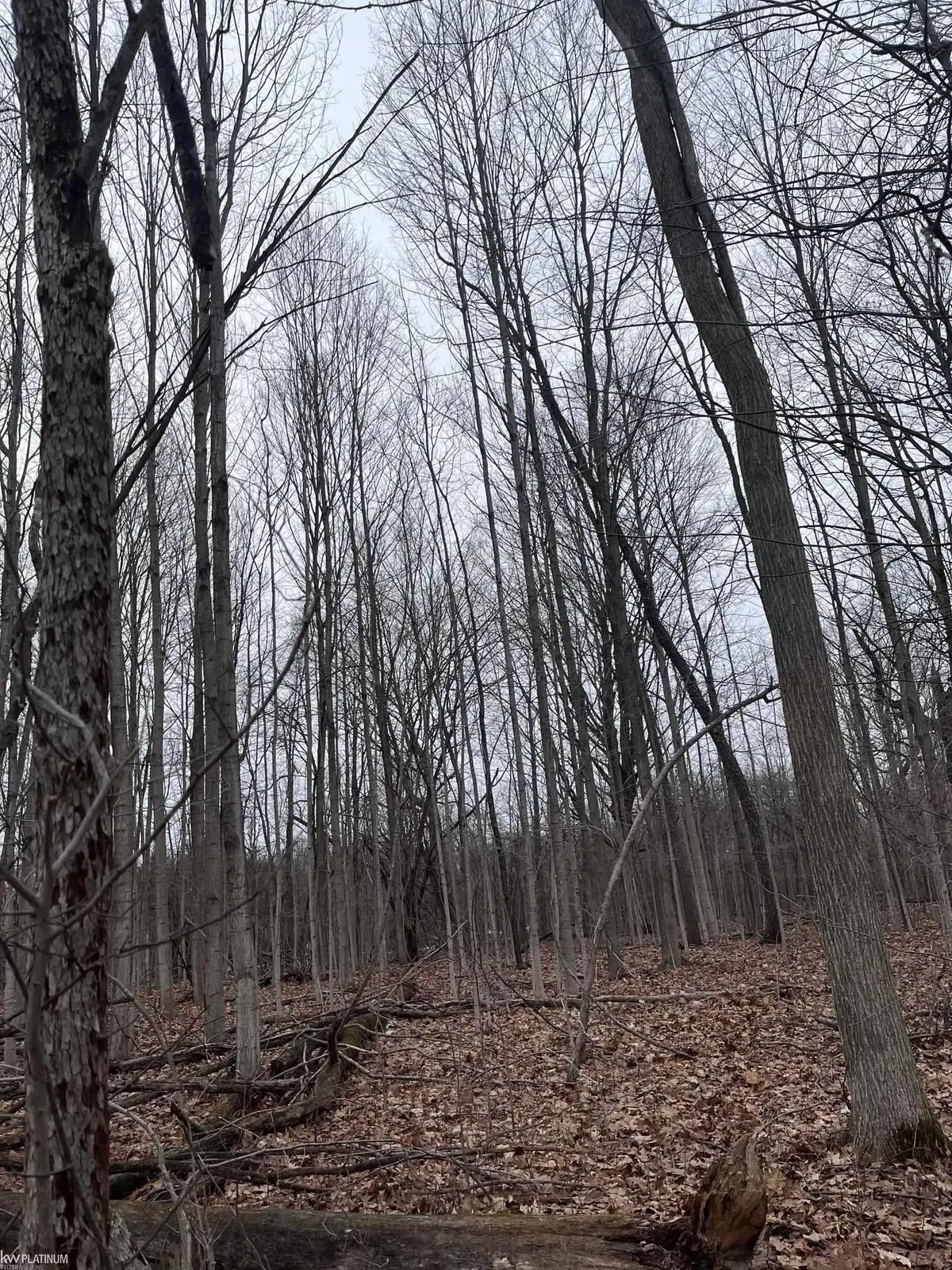 0 Fox Ridge 1-A LN, Allenton, MI 48002 - #1