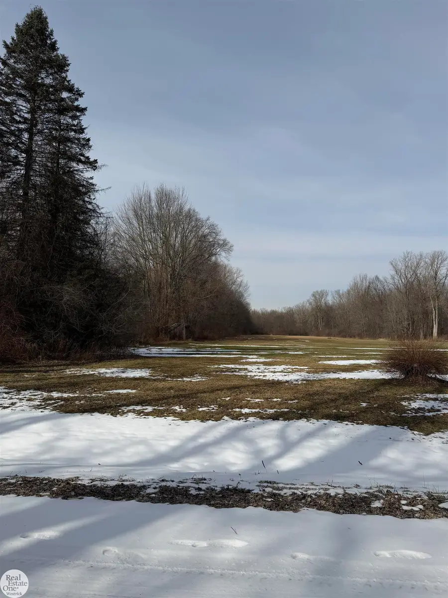 0 Genaw RD, Clay, MI 48039 - #2