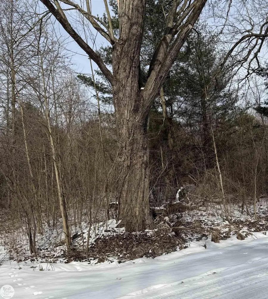 0 Genaw RD, Clay, MI 48039 - #3