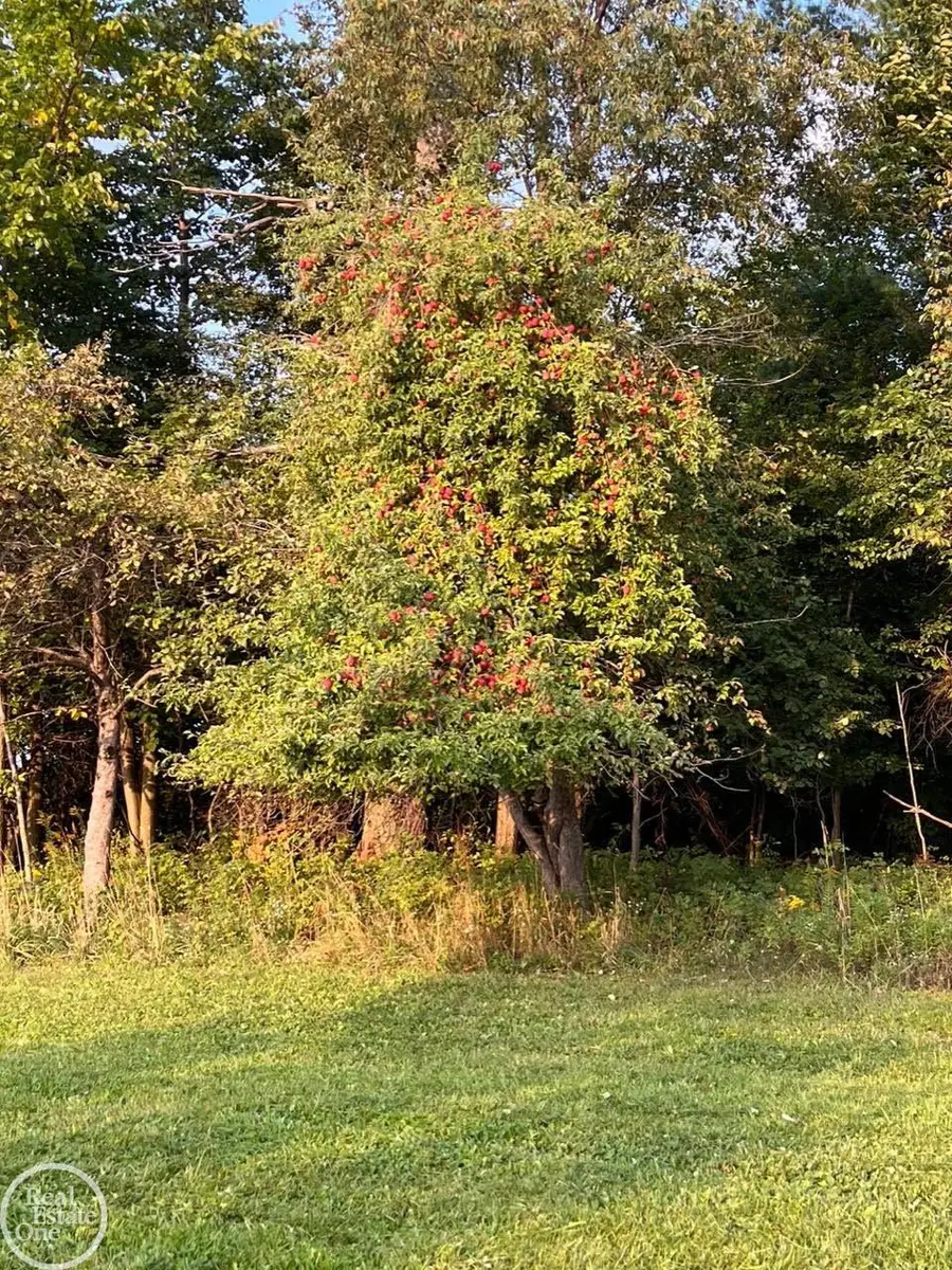 0 Harrington (Dot St.) RD, Croswell, MI 48422 - #3