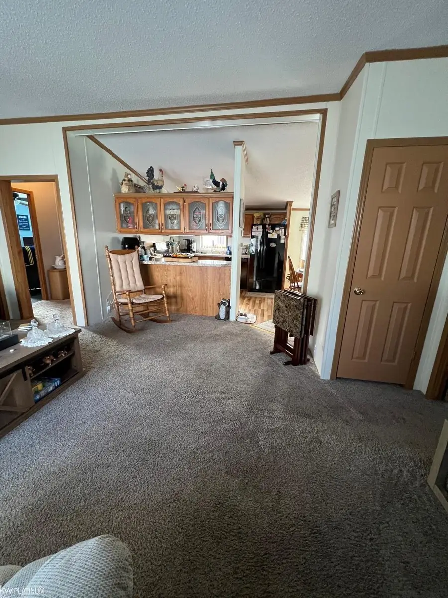 412 Silver Sand LN, Sanilac, MI 48469 - #2