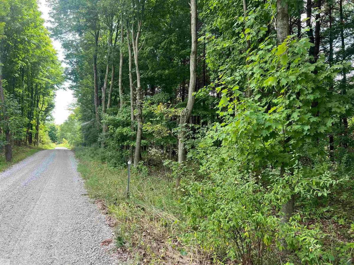 0 Burton RD, Mussey, MI 48014 - #1