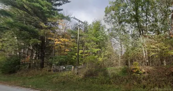 Rynn RD, Clyde, MI 48049