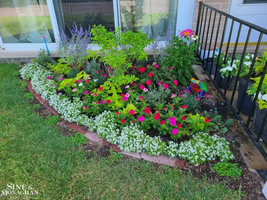 809 Sunset LN, Saint Clair Shores, MI 48082 - #2