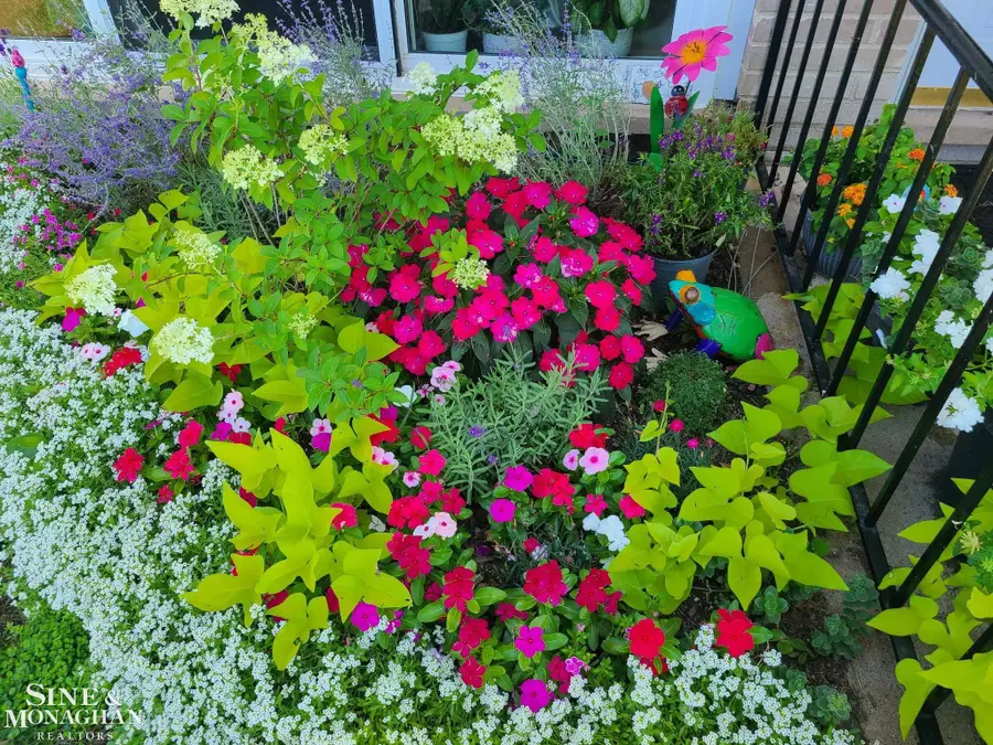 809 Sunset LN, Saint Clair Shores, MI 48082 - #3