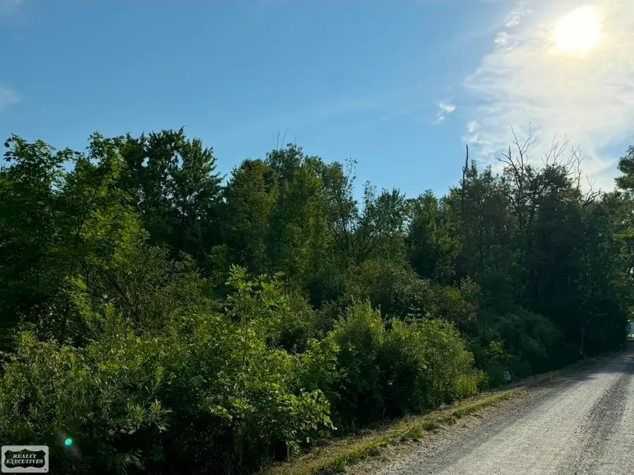 Sullivan RD, Emmett, MI 48022 - #2