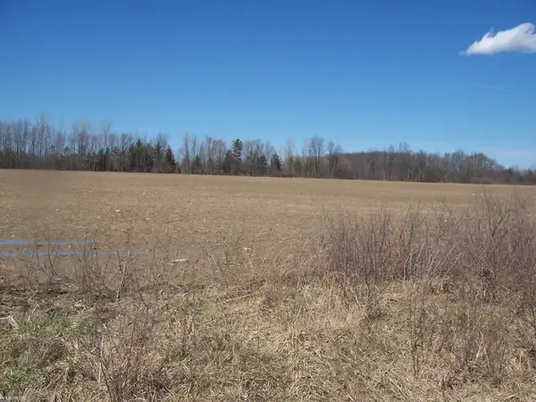 Lot 3 Beard Rd RD, Avoca, MI 48006