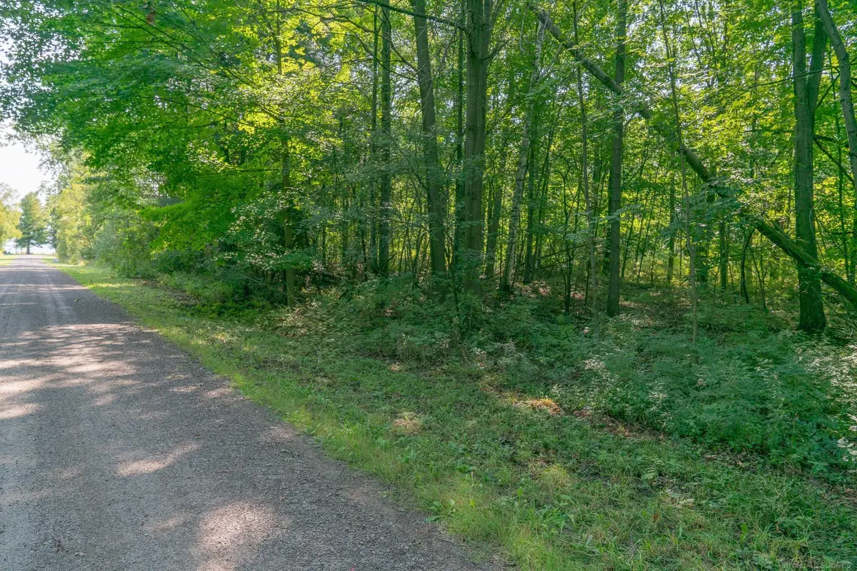 00 Schott RD, Sand Beach, MI 48441 - #1
