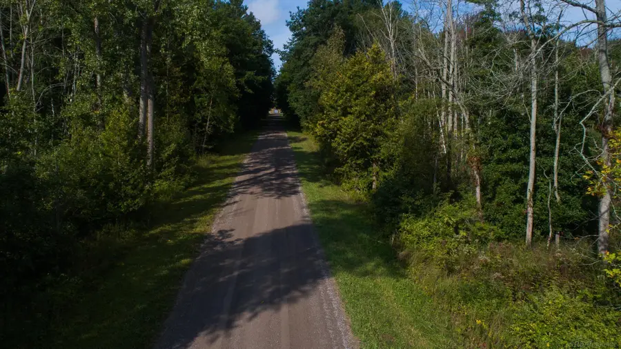 00 Schott RD, Sand Beach, MI 48441 - #3