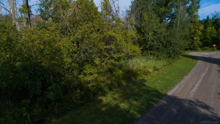 Lakeview DR, Sand Beach, MI 48441 - #2