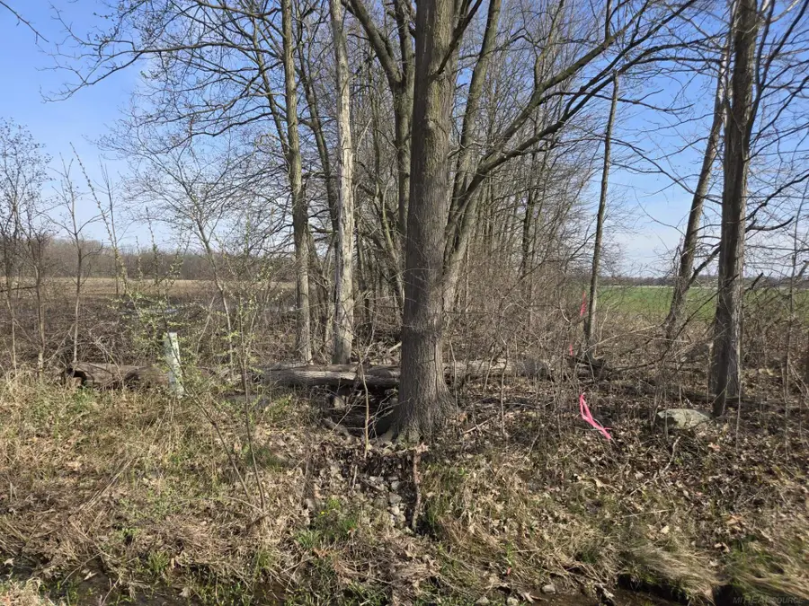 0 Weber (LOT A) RD, Richmond, MI 48063 - #3