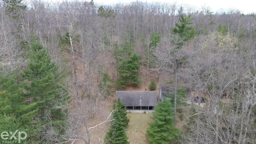 5592 N Bear Lake Trl DRS, Rose, MI 48654 - #3