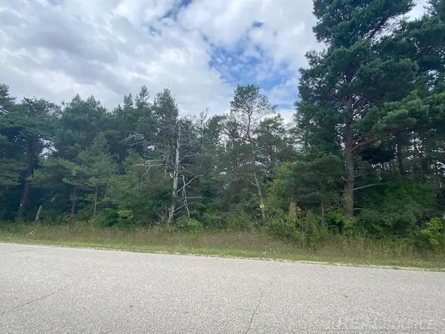 0 Elder LOT B RD, Mancelona, MI 49659 - #2