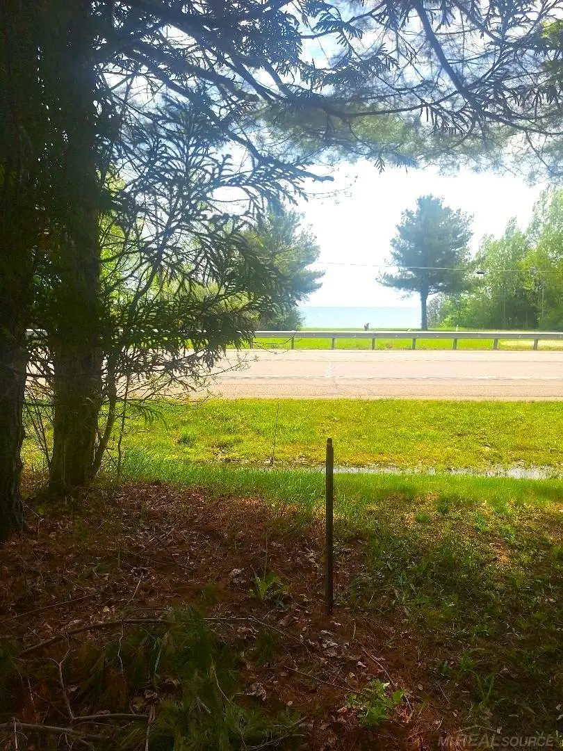 Parcel 2 Lakeshore RD, Applegate, MI 48401 - #1