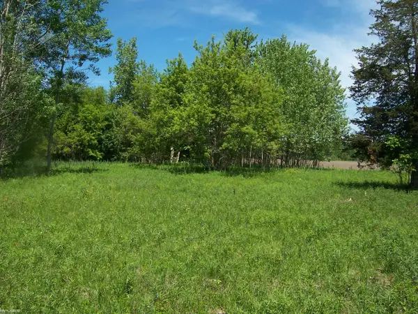 Lot 1 Lapeer Rd RD, Kimball, MI 48074
