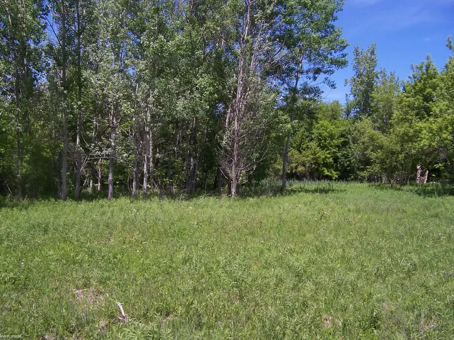 Lot 1 Lapeer Rd RD, Kimball, MI 48074 - #2