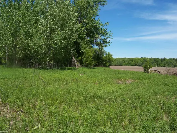 Lot 2 Lapeer Rd, Kimball, MI 48074