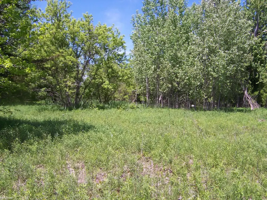 Lot 2 Lapeer Rd, Kimball, MI 48074 - #2